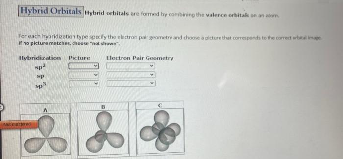 Solved Hybrid orbitals are formed by combining the valence | Chegg.com