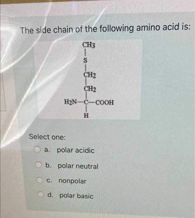 Solved The side chain of the following amino acid is: CH3 S | Chegg.com