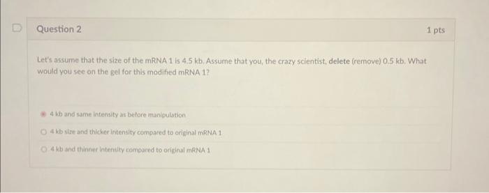 Solved Let's assume that the size of the mRNA 1 is 4.5 kb. | Chegg.com