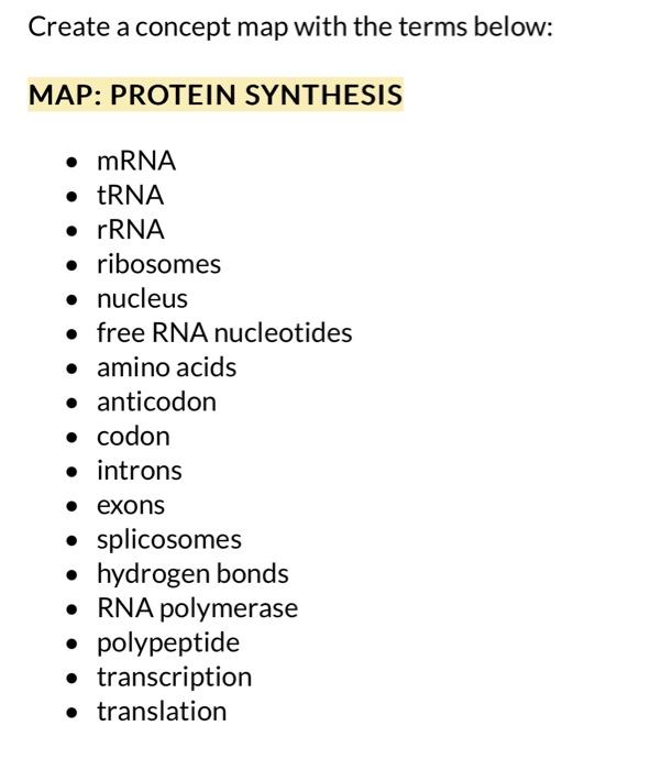 Solved Create A Concept Map With The Terms Below Map