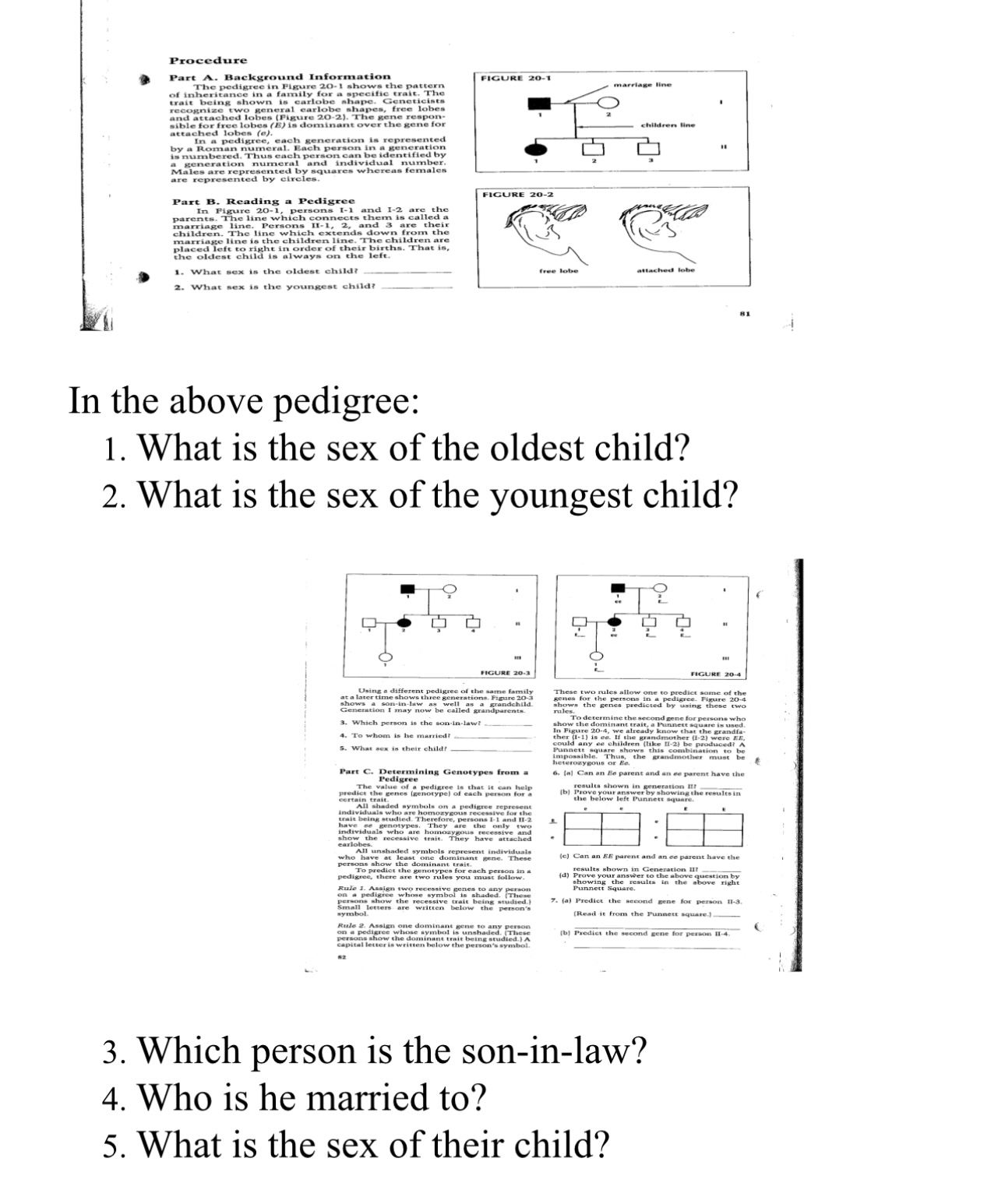 Solved In the above pedigree:What is the sex of the oldest | Chegg.com