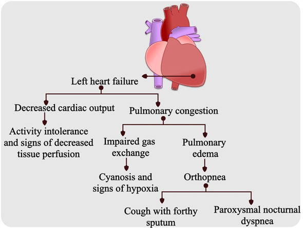 Chapter 20 Solutions | Essentials Of Pathophysiology 4th Edition ...