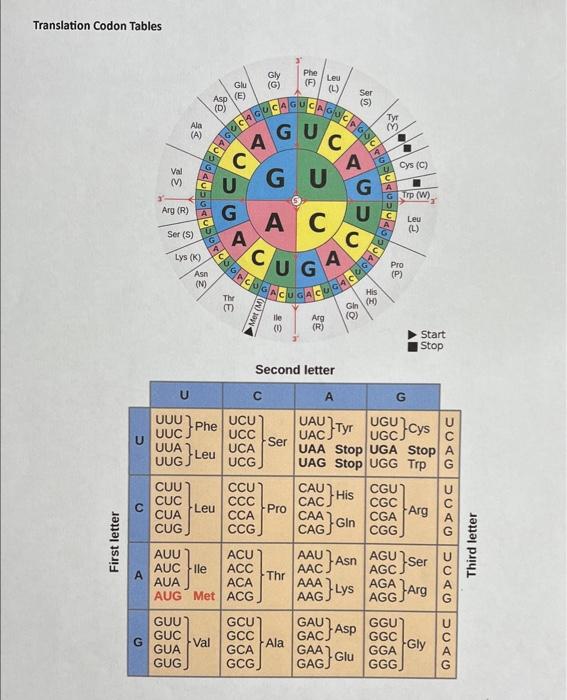 Solved May I Have Your Help In B And C Only Please. How Can | Chegg.com