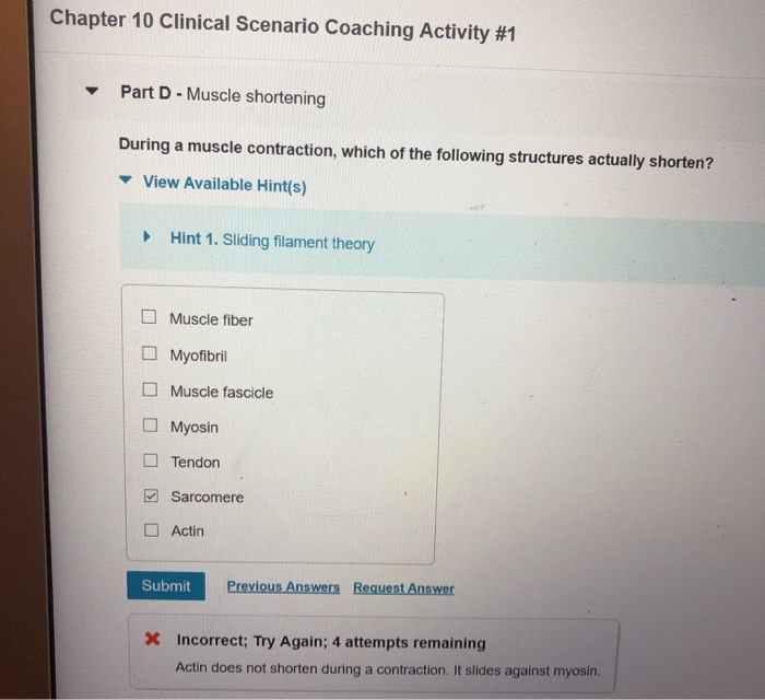 Chapter 10 Clinical Scenario Coaching Activity 1 Chegg 