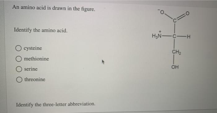 Solved An amino acid is drawn in the figure. Identify the | Chegg.com