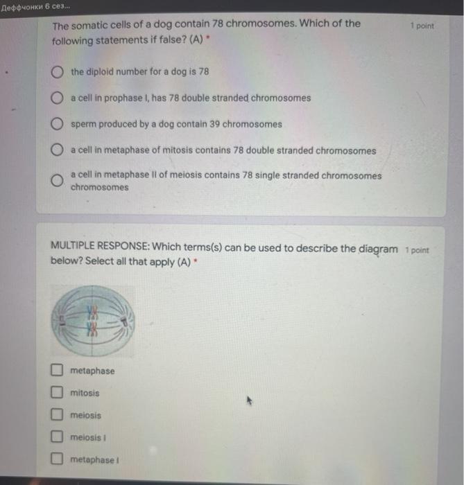 Solved Which of the following terms best describes cells | Chegg.com