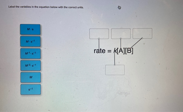 Solved Label The Variables In The Equation Below With The 5844