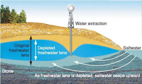 Explain How Saltwater Intrusion Happens (fig.).FIGURE S... | Chegg.com