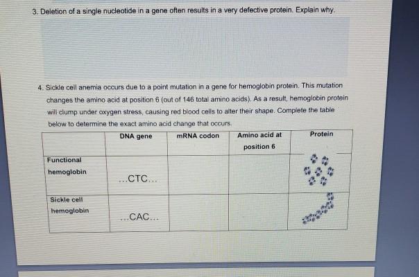 Solved 3. Deletion of a single nucleotide in a gene often | Chegg.com