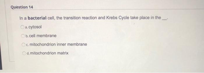 Question 14 In a bacterial cell, the transition reaction and Krebs Cycle take place in the a. cytosol b.cell membrane c mitoc