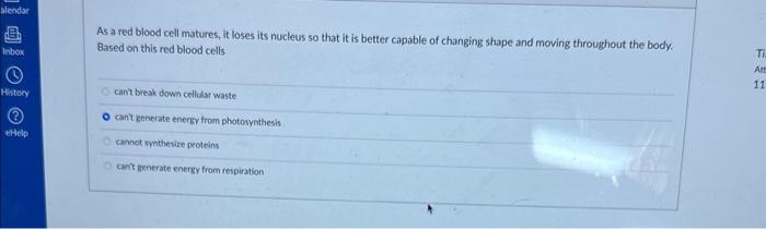 Solved As A Red Blood Cell Matures, It Loses Its Nucleus 50 