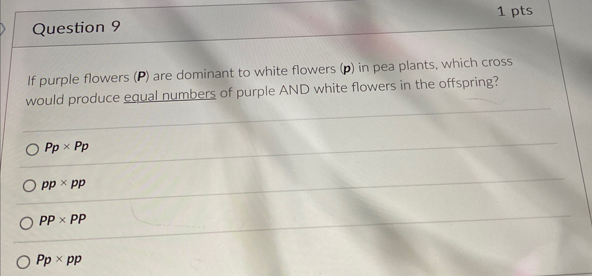 Solved Question Ptsif Purple Flowers P Are Dominant Chegg Com