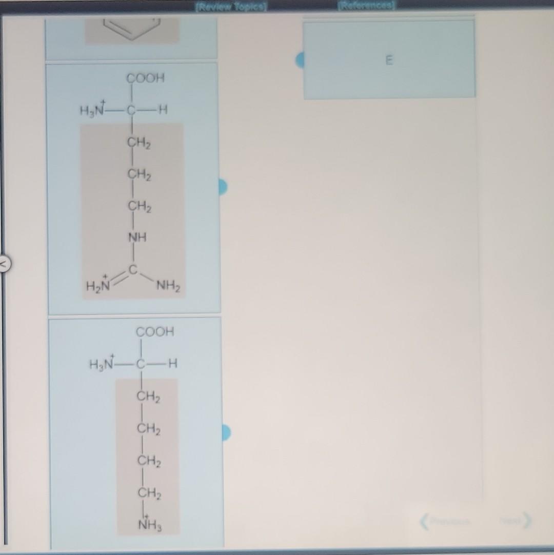 Solved match the correct amino acid for each of the