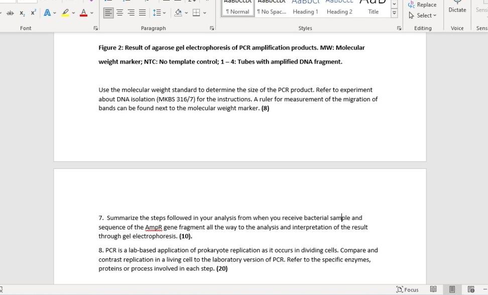 Solved Figure 2: Result of agarose gel electrophoresis of | Chegg.com