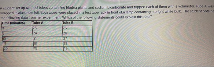 elodea plant in test tube