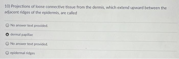 Solved The Dermis Extends Upward Between Ridges of