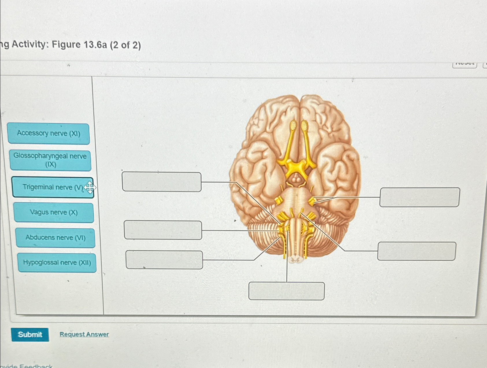 Solved Activity Figure 13.6a (2 ﻿of 2 )