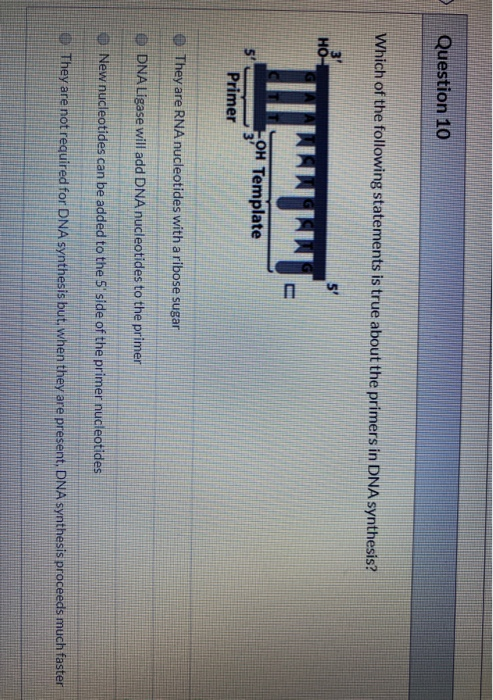 Solved Question 9 Newly synthesizing DNA always grows in the | Chegg.com