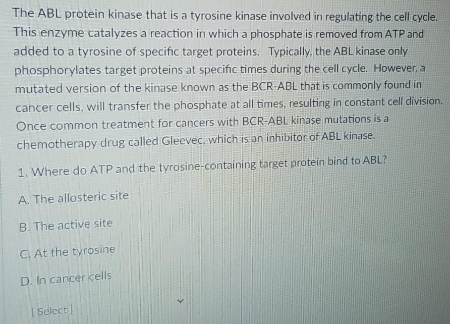 Solved The ABL protein kinase that is a tyrosine kinase | Chegg.com