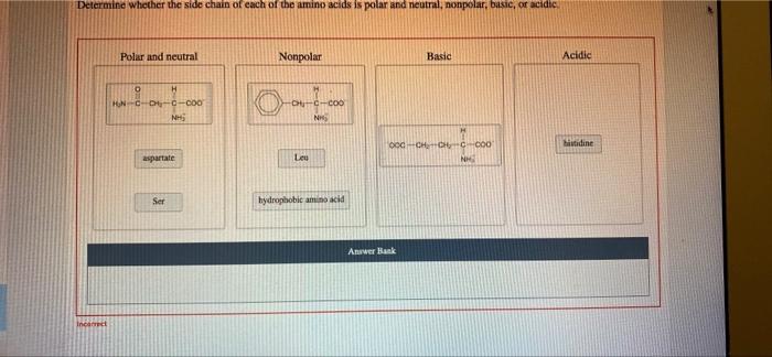 Solved determine whether the side chain of each of the amino | Chegg.com