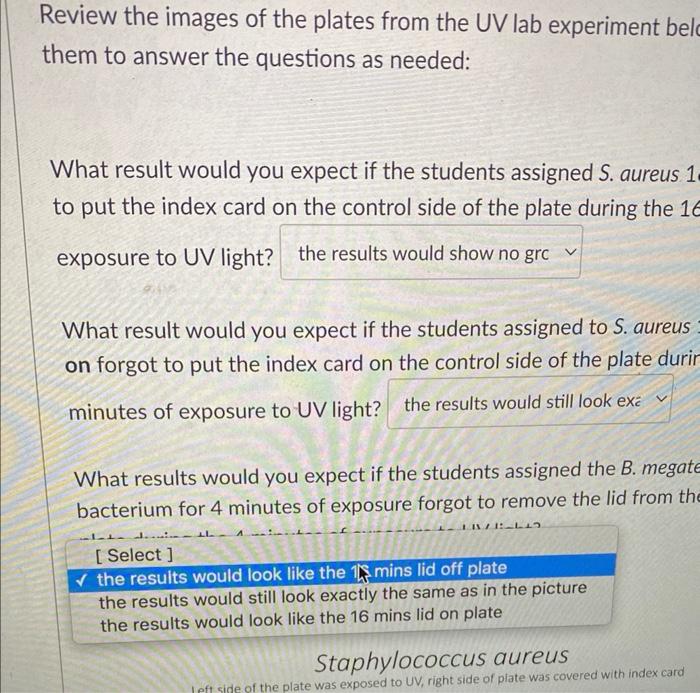 Review the images of the plates from the UV lab | Chegg.com
