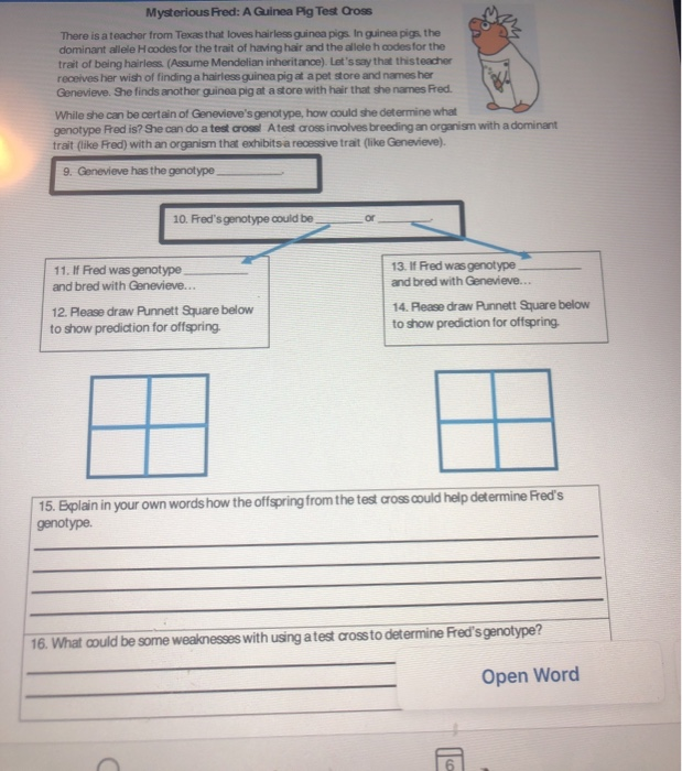 Mysterious Fred A Guinea Pig Test Cross There Is A Chegg 