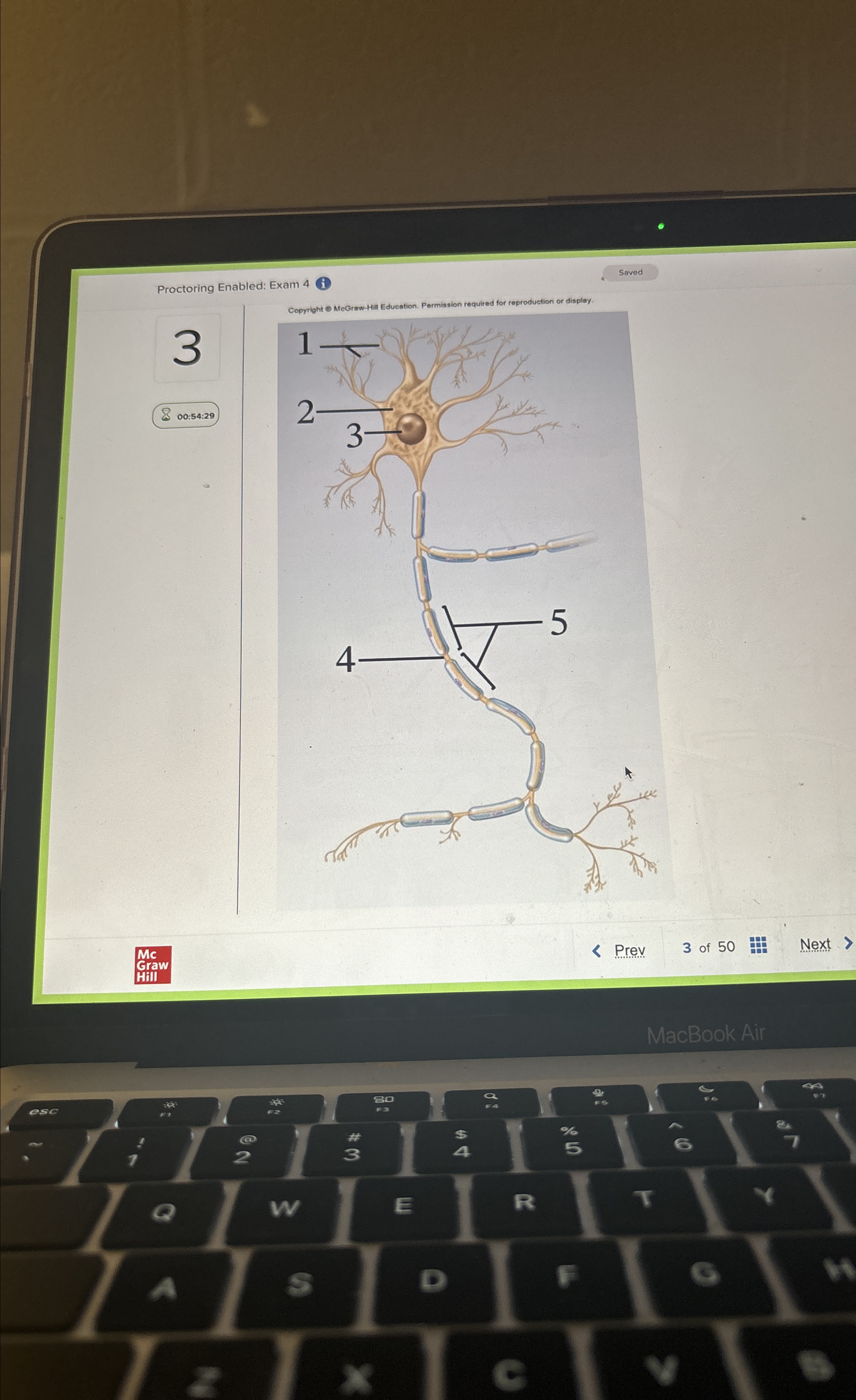 Solved Name the part of the axon labled 4 | Chegg.com