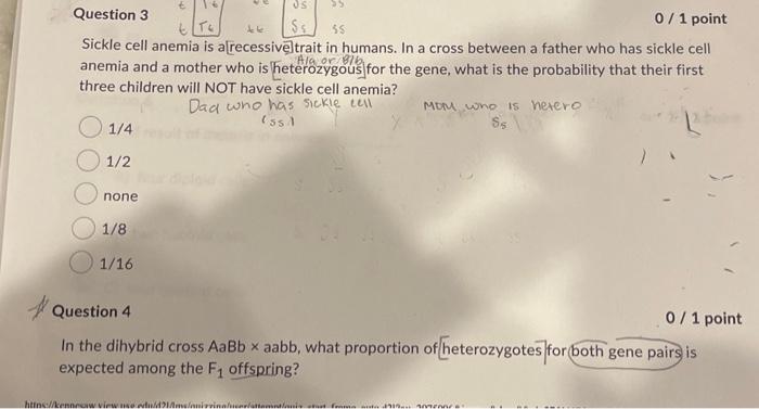 Solved Sickle cell anemia is a[recessive]trait in humans. In | Chegg.com
