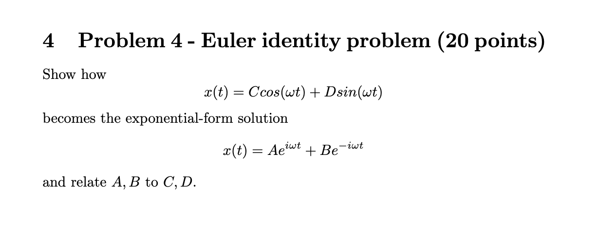 Solved 4 ﻿Problem 4 - ﻿Euler identity problem (20 ﻿points) | Chegg.com