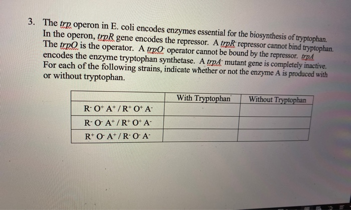 Solved 2. In E.coli the lac operon is controlled by the | Chegg.com