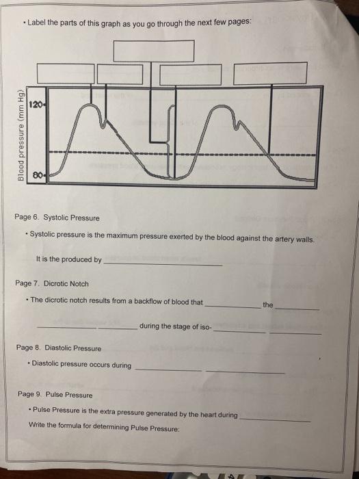 Blood pressure measurement - OSCE guide 