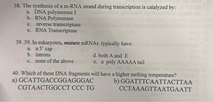 Solved 38. The synthesis of a m-RNA strand during | Chegg.com