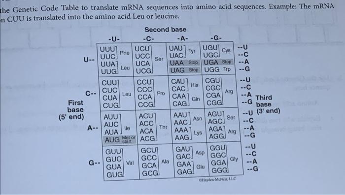Solved Ser the Genetic Code Table to translate mRNA | Chegg.com