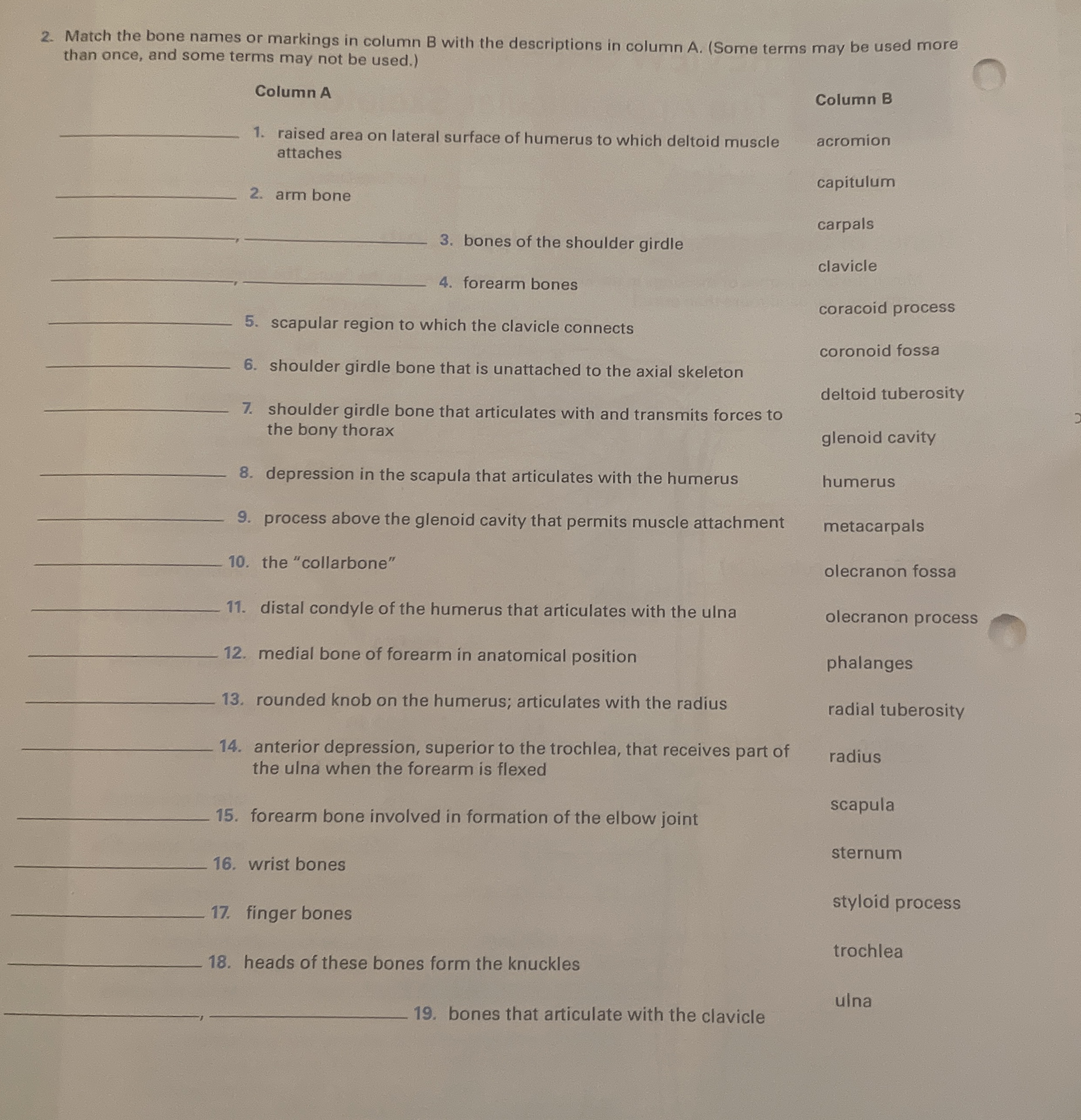 Solved Match the bone names or markings in column B ﻿with