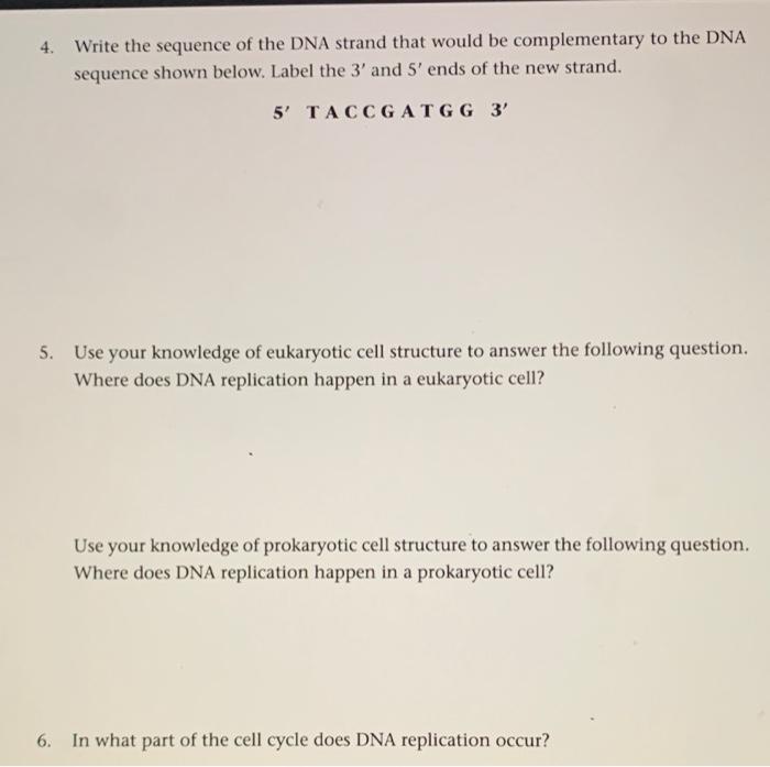 Why Is Complementary Base Pairing Important In Dna Replication