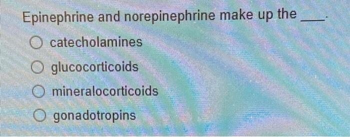 epinephrine and norepinephrine feedback loop