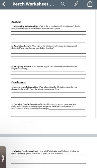 Solved > Perch Worksheet.... Analysis 1. Identifying | Chegg.com