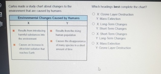 solved-which-headings-best-complete-the-chart-carlos-made-a-chegg