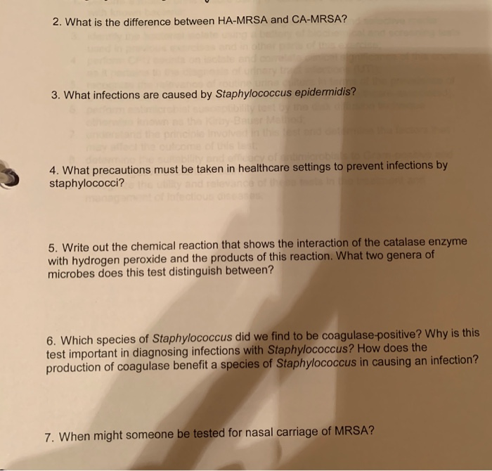 Homework help science biology preventing infections 08 picture