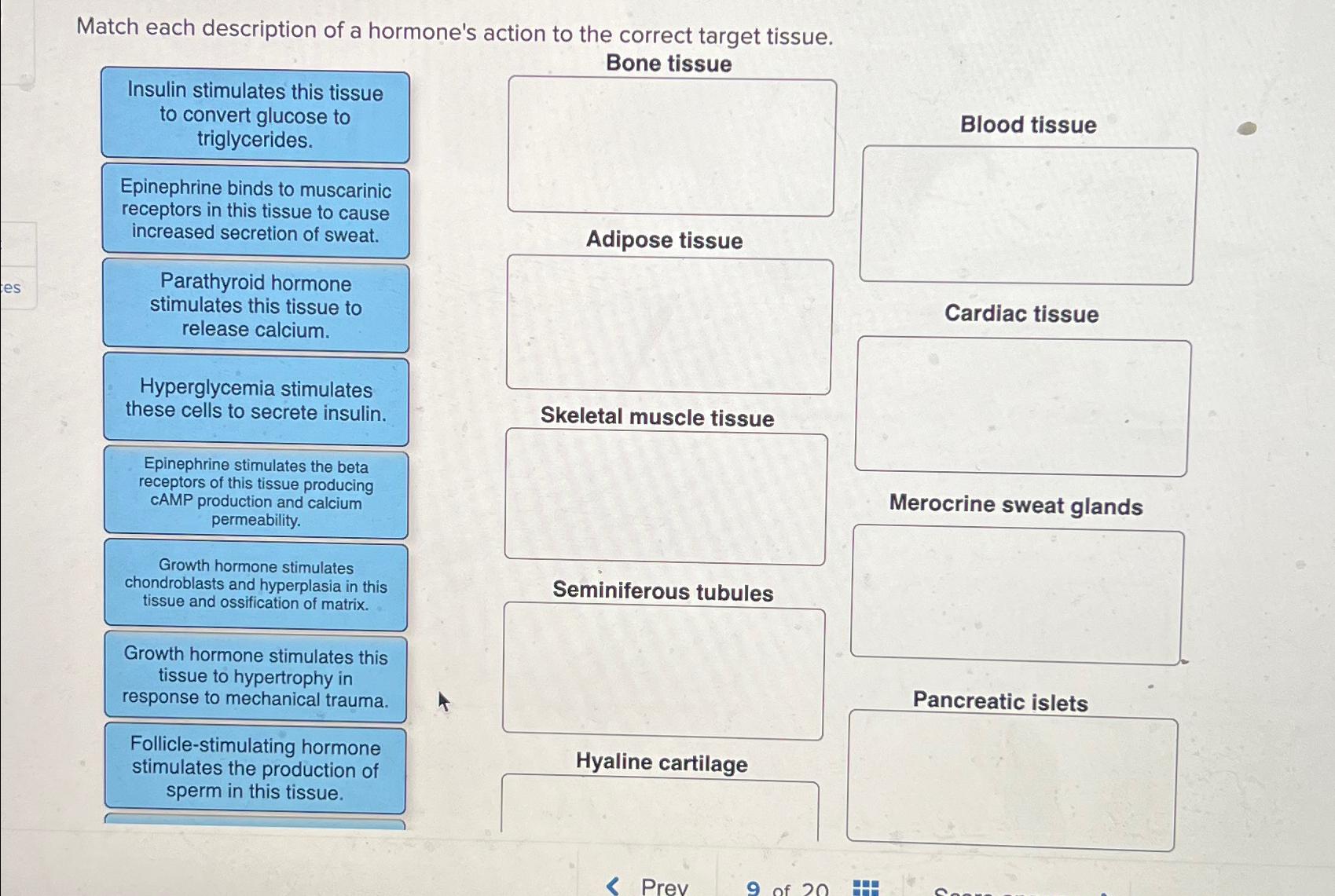 Solved Match each description of a hormone's action to the | Chegg.com