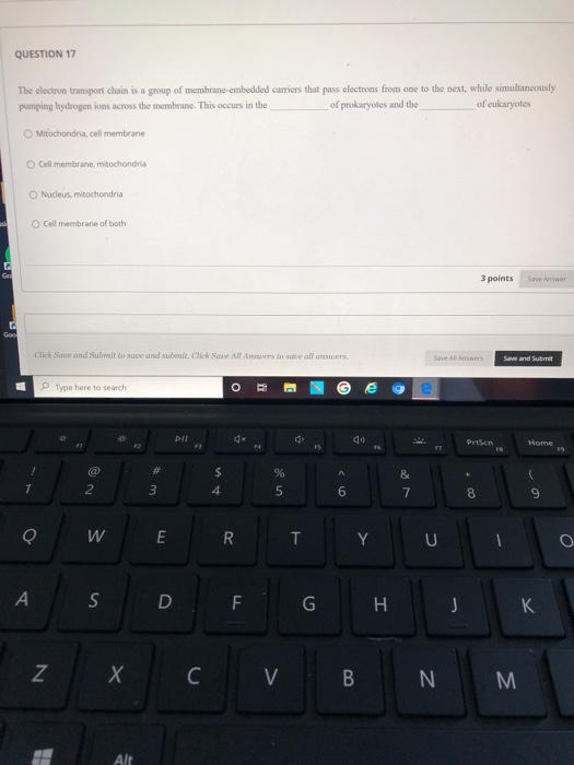 Solved QUESTION 17 The electron transport chain is a group | Chegg.com