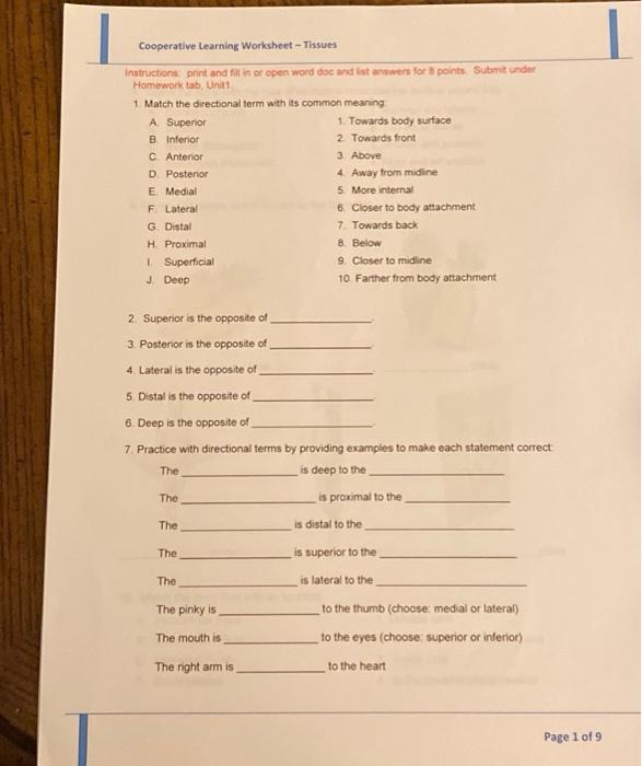 Solved Cooperative Learning Worksheet - Tissues Instructions | Chegg.com