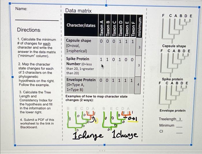 Solved Name: Data matrix F CABDE Character/states Directions 