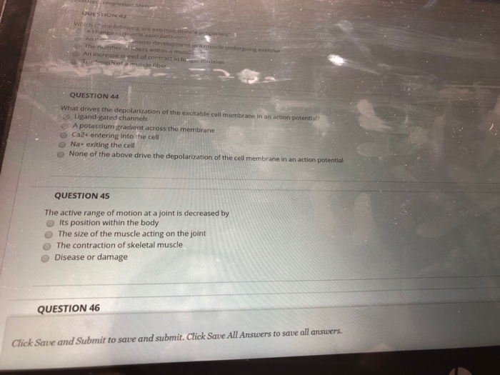 Solved QUESTION 34 Why dodamus.de fibers of force generation | Chegg.com