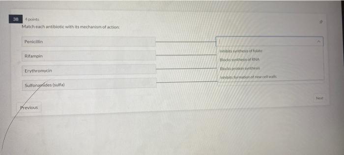 38 4 points
Match each antibiotic with its mechanism of action
Penicillin
Rifampin
Erythromycin
Sulfonamides (sulfa)
Previous