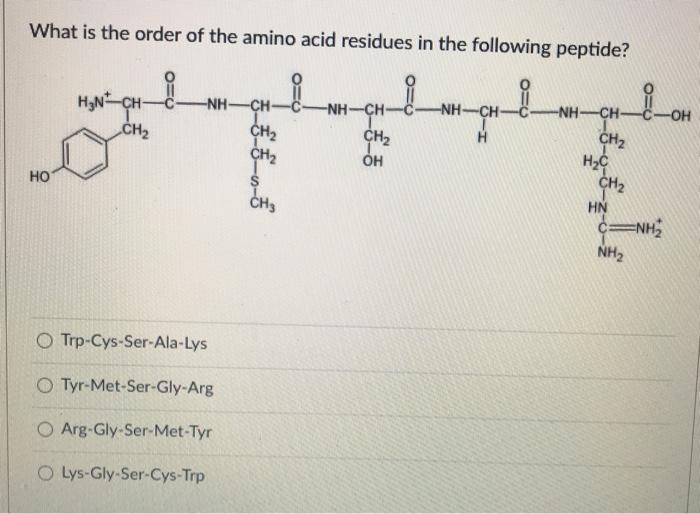 Solved What is the order of the amino acid residues in the | Chegg.com