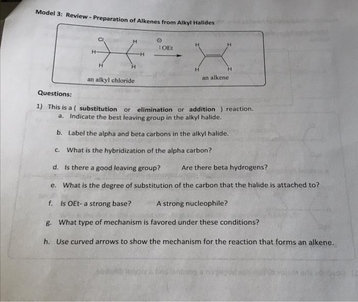 Solved Model 2: Acidity of Alkynes Questions: 1) Circle the | Chegg.com
