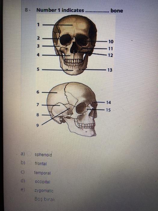 Solved 1 Please Name The Indicated Ligament A Supraspin Chegg Com