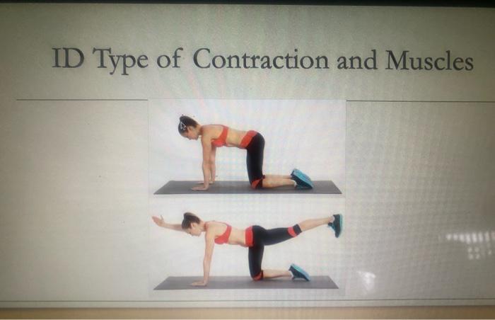 Solved ID Type of Contraction and Muscles ID Type of | Chegg.com