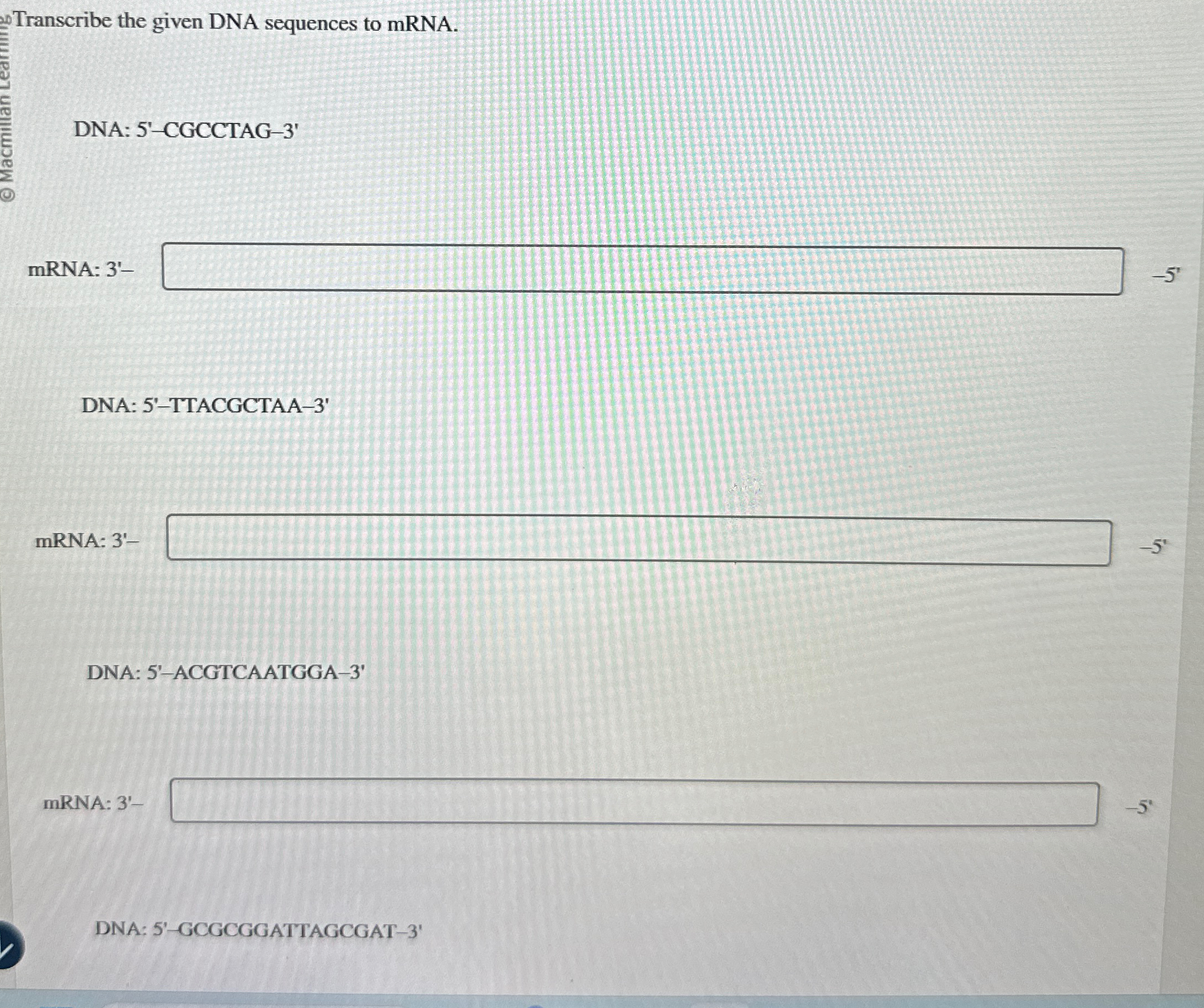 Solved Transcribe the given DNA sequences to mRNA.DNA: | Chegg.com